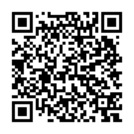QR code for IIE 630
