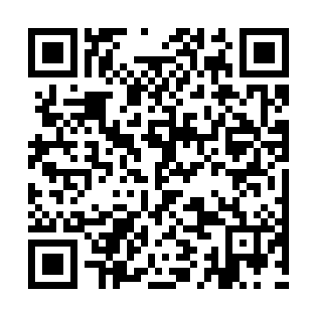 QR code for IIF 386