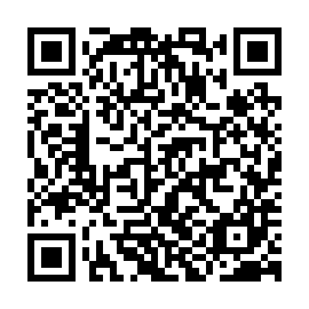 QR code for IIG 287