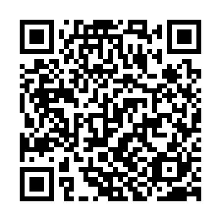 QR code for IIG 320