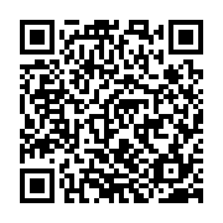 QR code for IIG 334