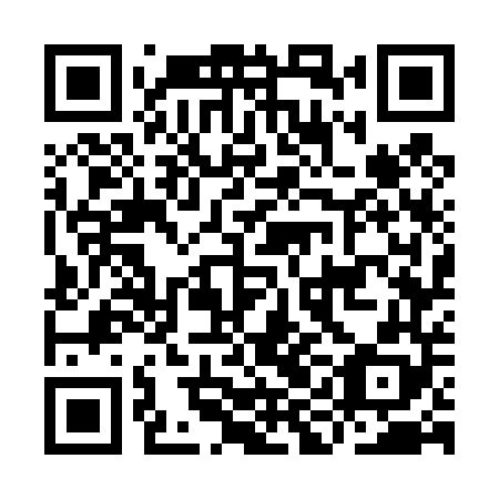 QR code for IIG 448