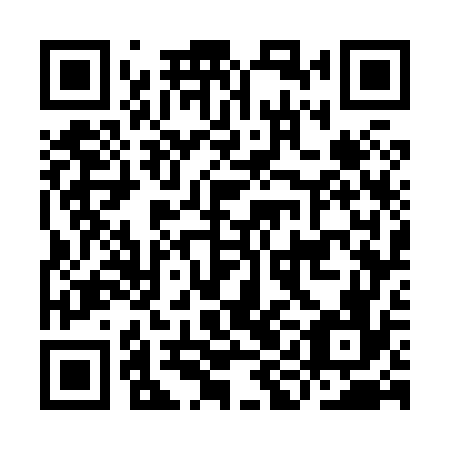 QR code for IIG 876