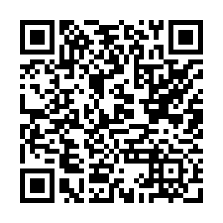 QR code for III 873