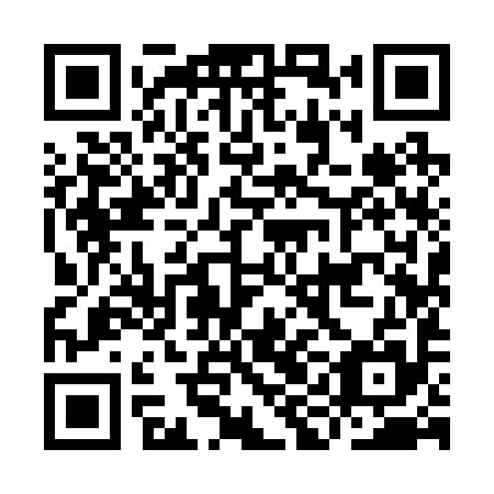 QR code for III295