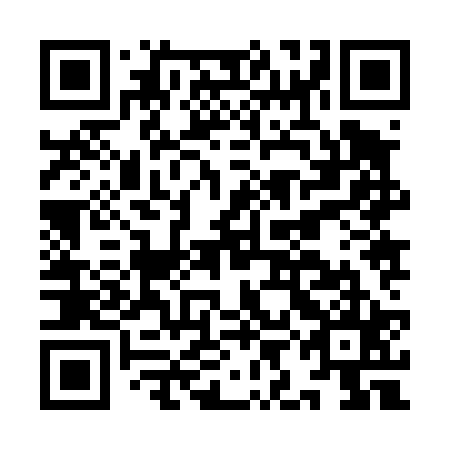QR code for IIJ 425