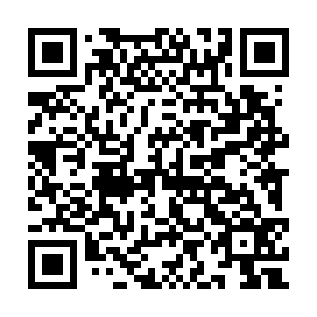 QR code for IIL736