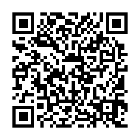 QR code for IIM 310