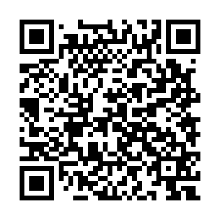 QR code for IIN 161