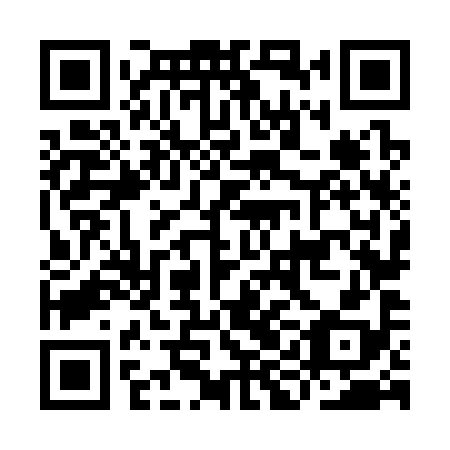 QR code for IIN 398