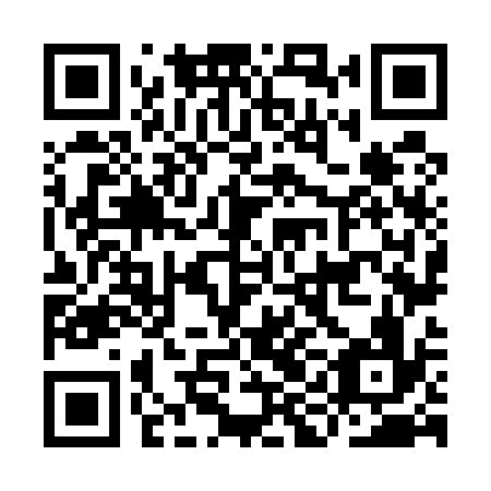 QR code for IIN 536