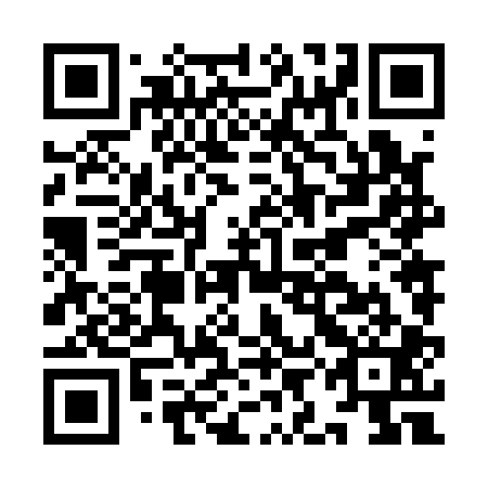 QR code for IIN101