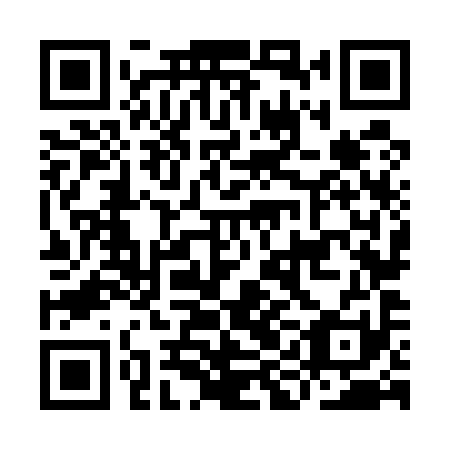QR code for plate IIN 591