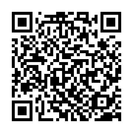 QR code for plate IIN 938