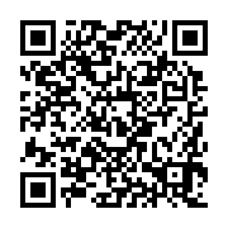 QR code for IIP 390