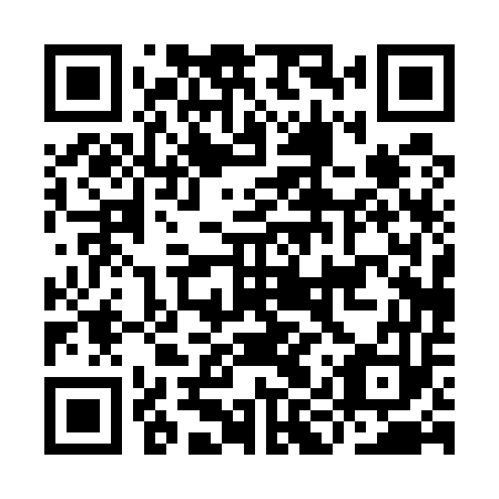 QR code for IIP553