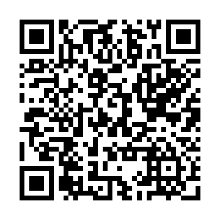 QR code for IIR335