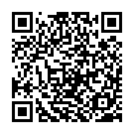 QR code for IIR555