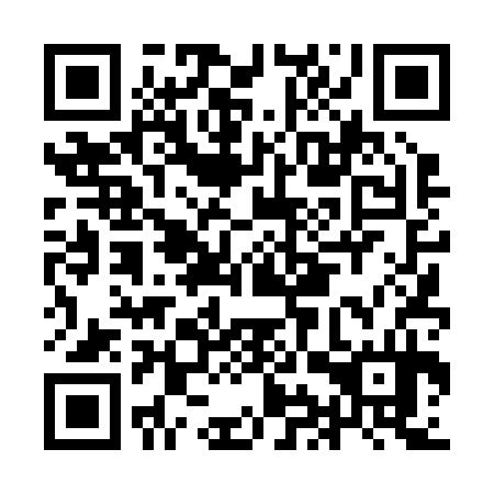 QR code for IIT234