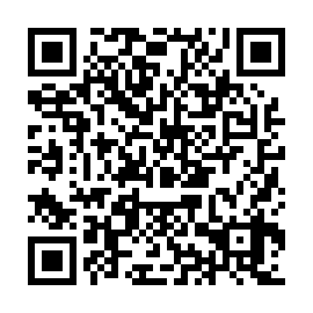 QR code for IIZ 038