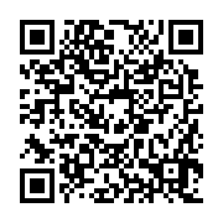QR code for IIZ 386