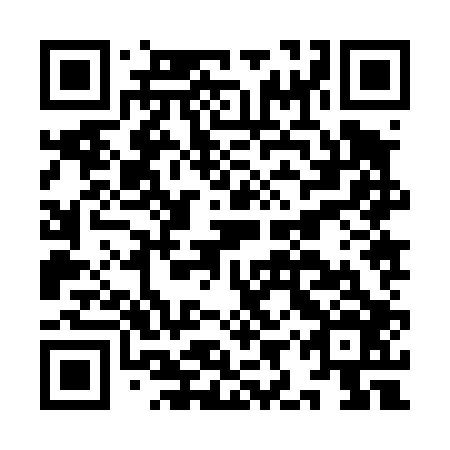 QR code for plate IIZ 406