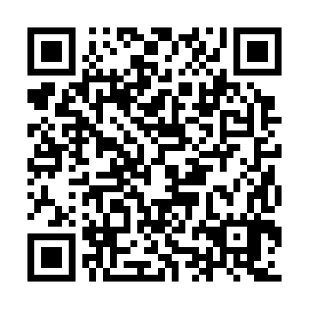 QR code for IJB 387
