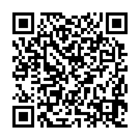 QR code for IJB 393