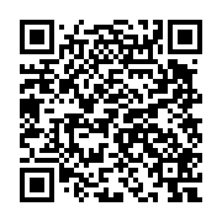 QR code for IJB 409