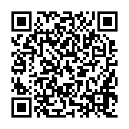 QR code for plate IJB 256