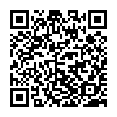QR code for IJC598