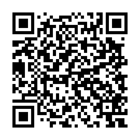 QR code for plate IJD 009
