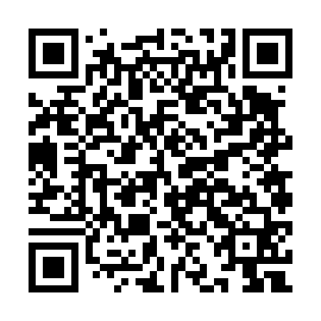 QR code for IJF 460