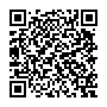 QR code for IJI411
