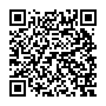QR code for IJR 298