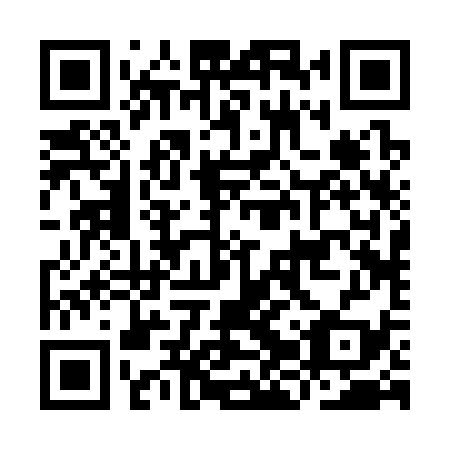 QR code for IJR 339