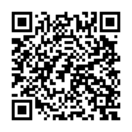 QR code for IJS 042