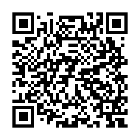 QR code for IJS 391