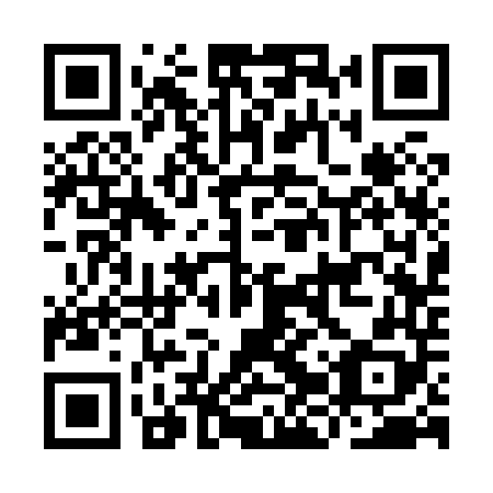 QR code for IJS 848