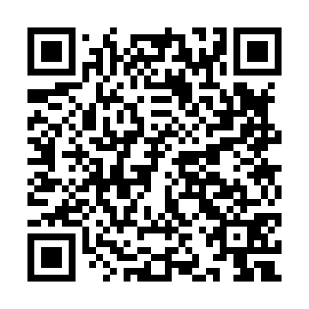 QR code for IJS 871