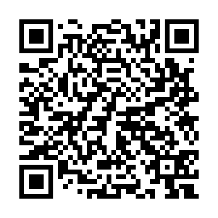 QR code for IJS131
