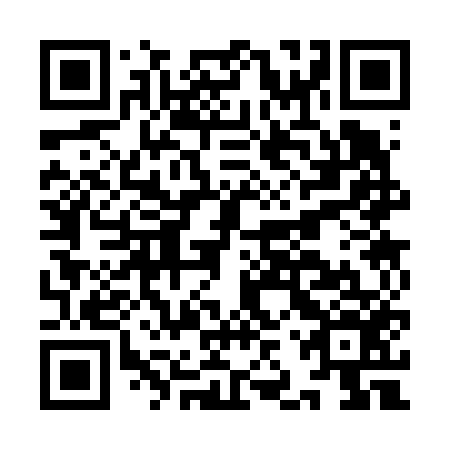 QR code for plate IJS 656