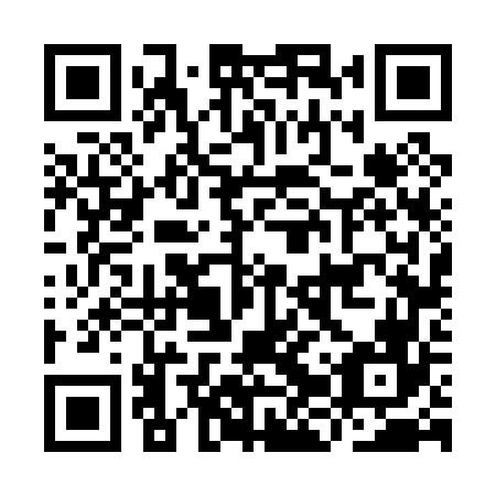 QR code for IJV066