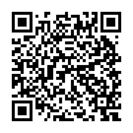 QR code for IJW295