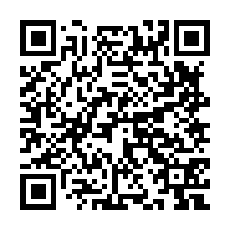 QR code for IJZ 870