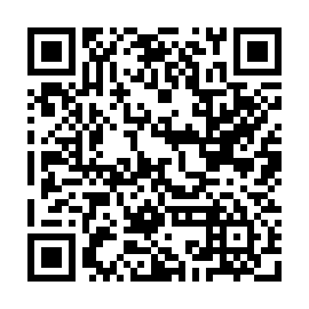 QR code for plate IKK 335
