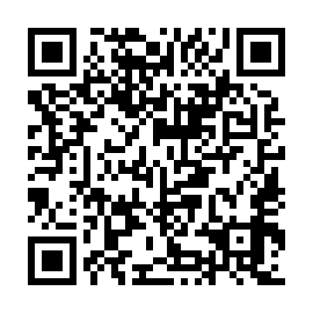 QR code for plate IKO 859