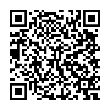 QR code for IKZ 411