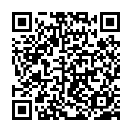QR code for ILO 225