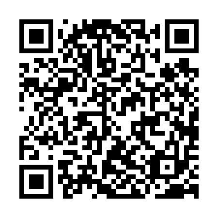 QR code for plate ILP 613